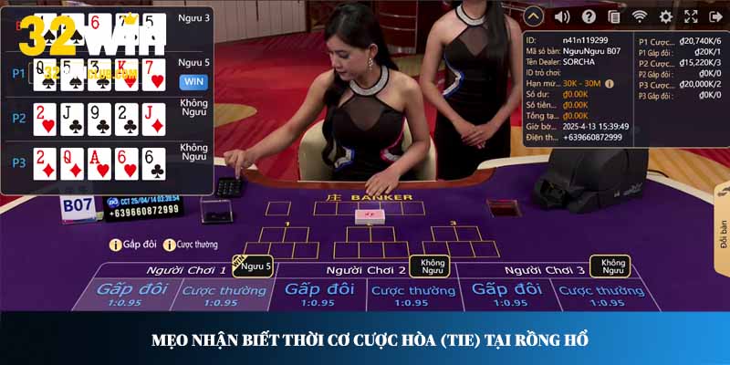 Mẹo nhận biết thời cơ cược hòa (tie) tại Rồng Hổ